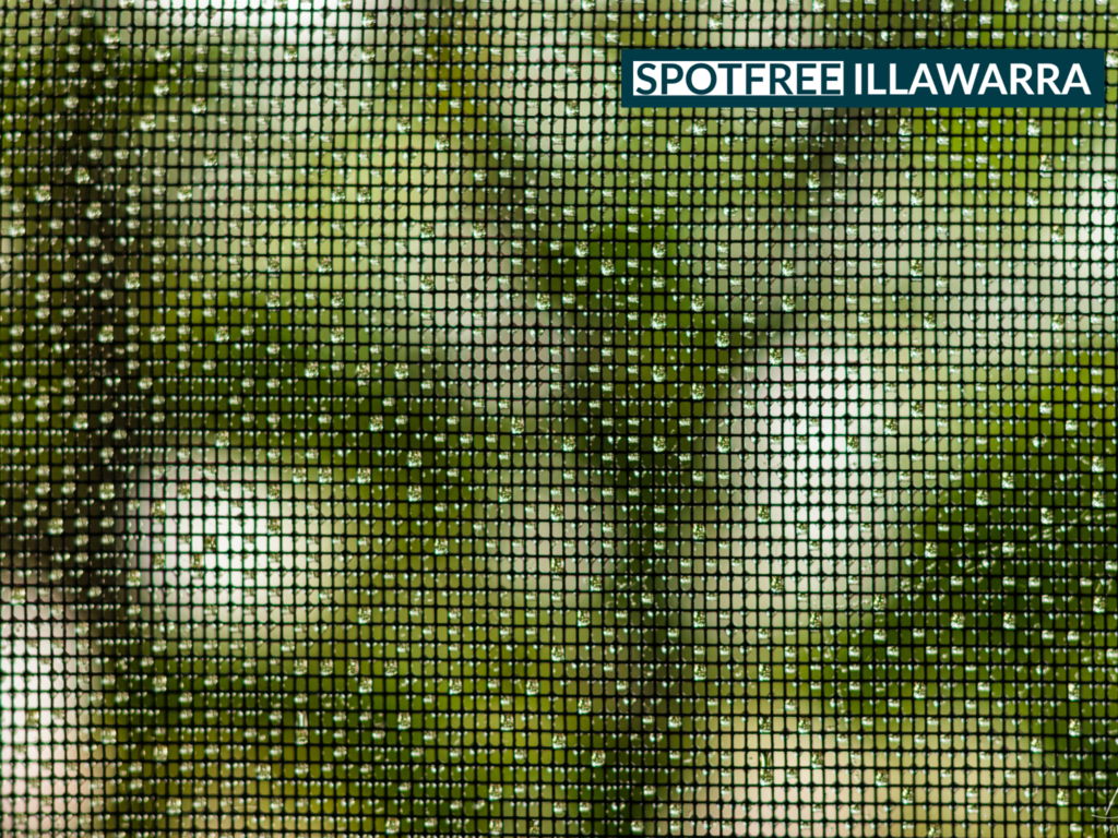 Flyscreen washing