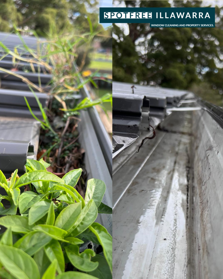 Gutter cleaning