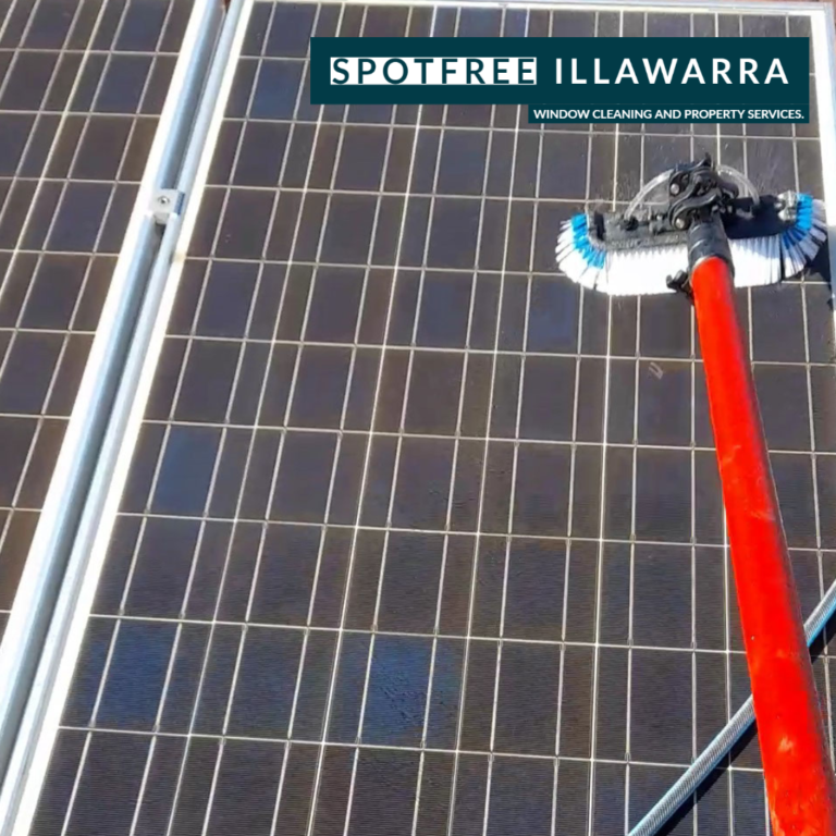Solar Panel Cleaning