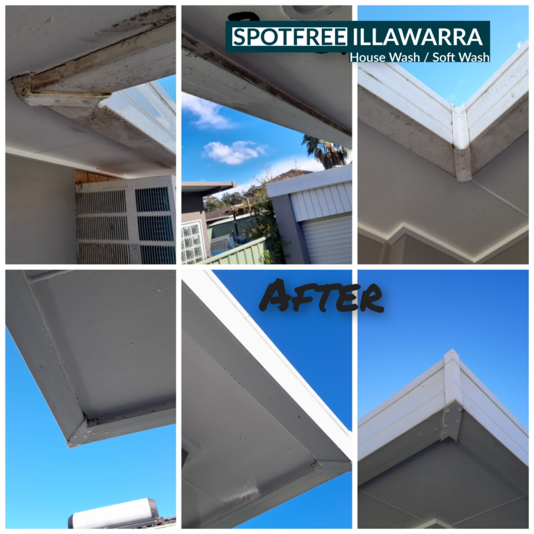 House Wash / Building Wash / Soft Washing
